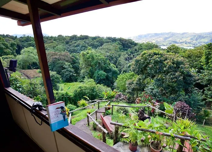 Toucan Lane * Nuevo Arenal