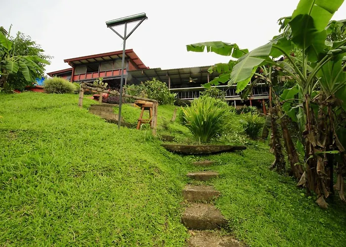 Hotel Toucan Lane