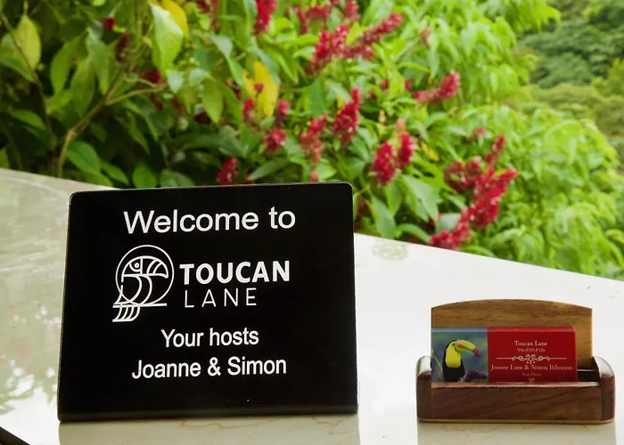 Toucan Lane *