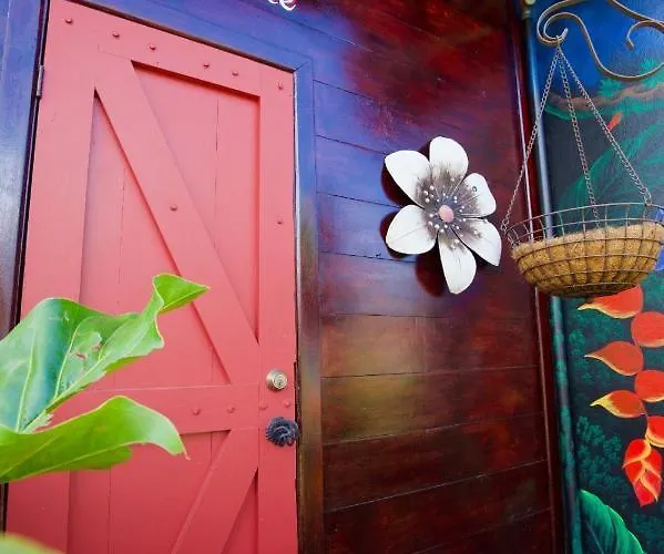 Toucan Lane Hotel *
